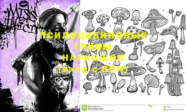 спиды Абдулино