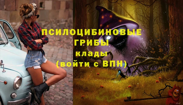 спиды Абдулино