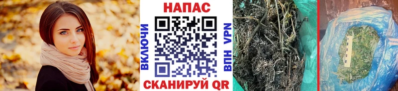 Марихуана ГИДРОПОН  продажа наркотиков  Пудож 